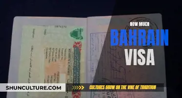 Bahrain Visa Costs: All You Need to Know