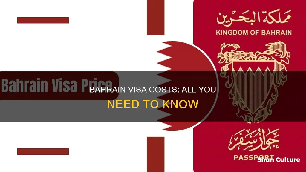 how much bahrain visa