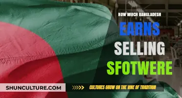 Bangladesh's Software Export Earnings: Unlocking Economic Growth and Potential