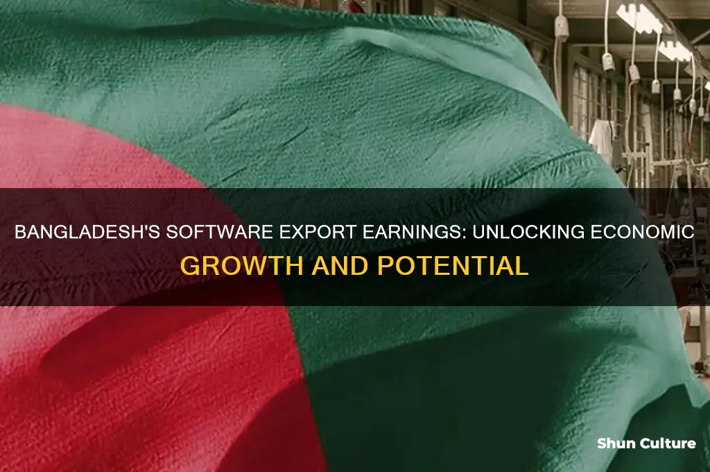 how much bangladesh earns selling sfotwere