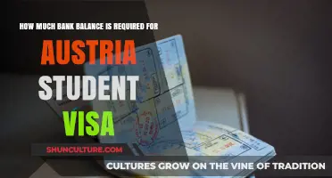 Unlocking Austria: Navigating the Student Visa's Bank Balance Requirements