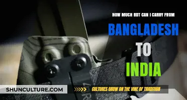 Traveling from Bangladesh to India: BDT Carry Limits Explained