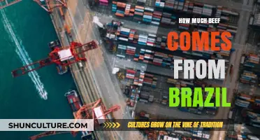 Brazil's Beef Production: Global Impact and Export Dominance Explained
