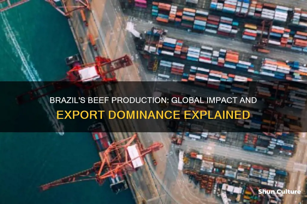 how much beef comes from brazil