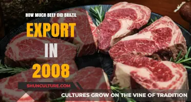 Brazil's 2008 Beef Exports: A Comprehensive Analysis of Shipments
