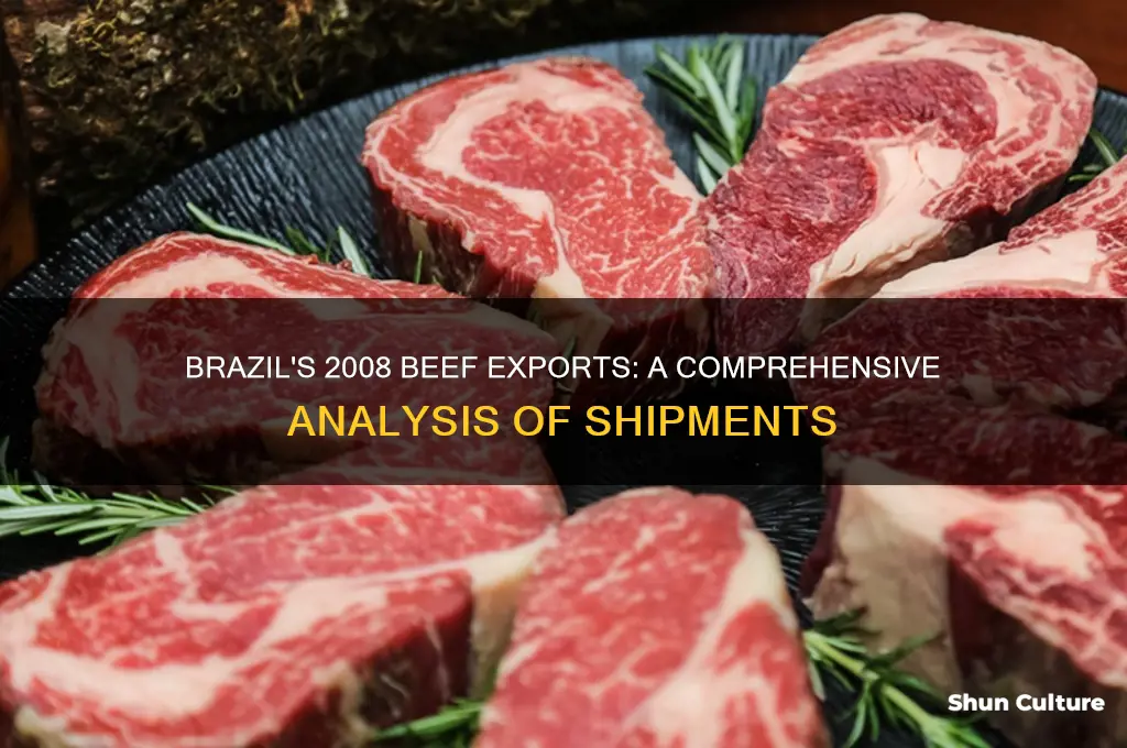 how much beef did brazil export in 2008
