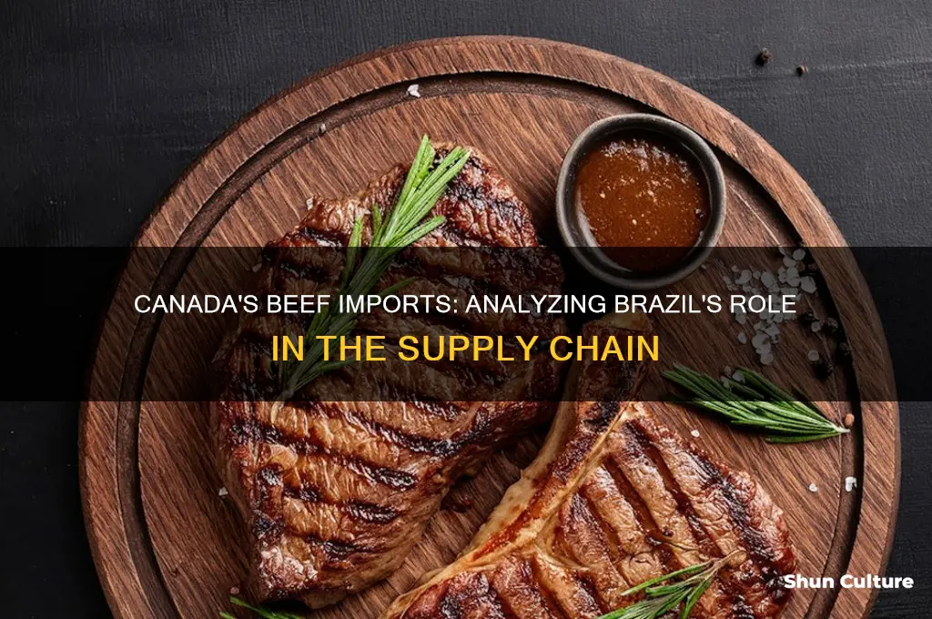 how much beef does canada import from brazil