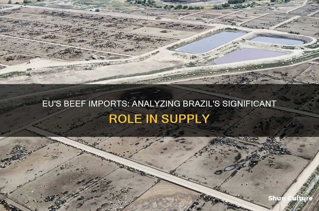 how much beef does the eu import from brazil
