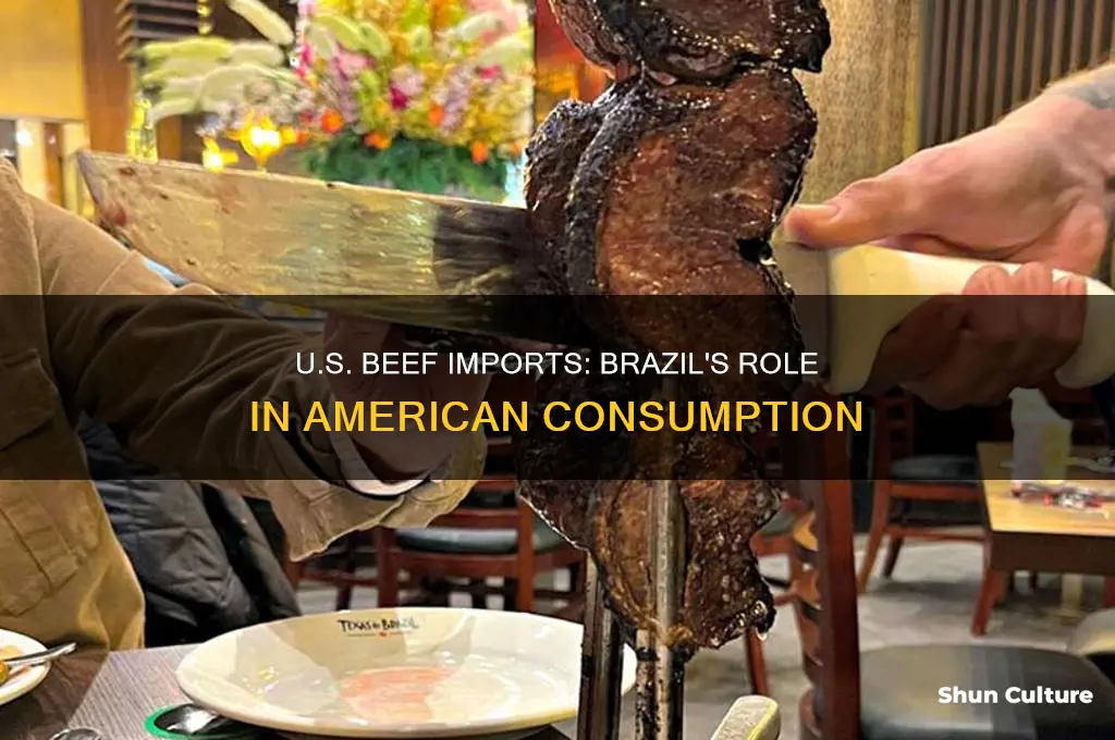 how much beef does the u.s. import from brazil