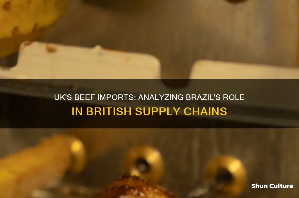 how much beef does the uk import from brazil