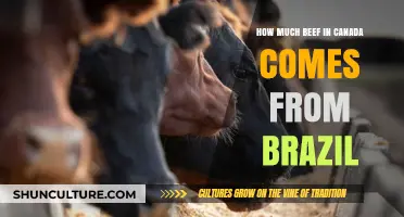 Canadian Beef Supply: How Much Comes from Brazil?