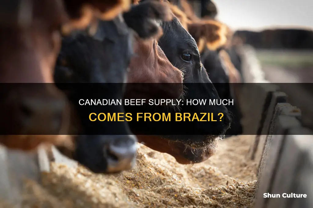 how much beef in canada comes from brazil
