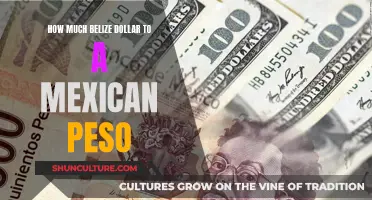 Belize Dollar vs Mexican Peso: Exchange Rates Explored