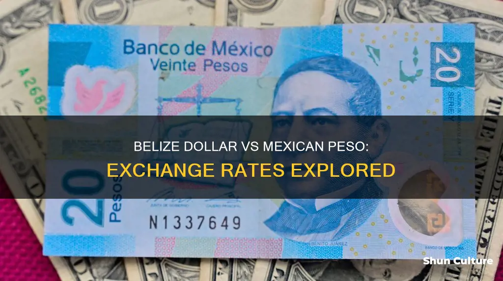 how much belize dollar to a mexican peso