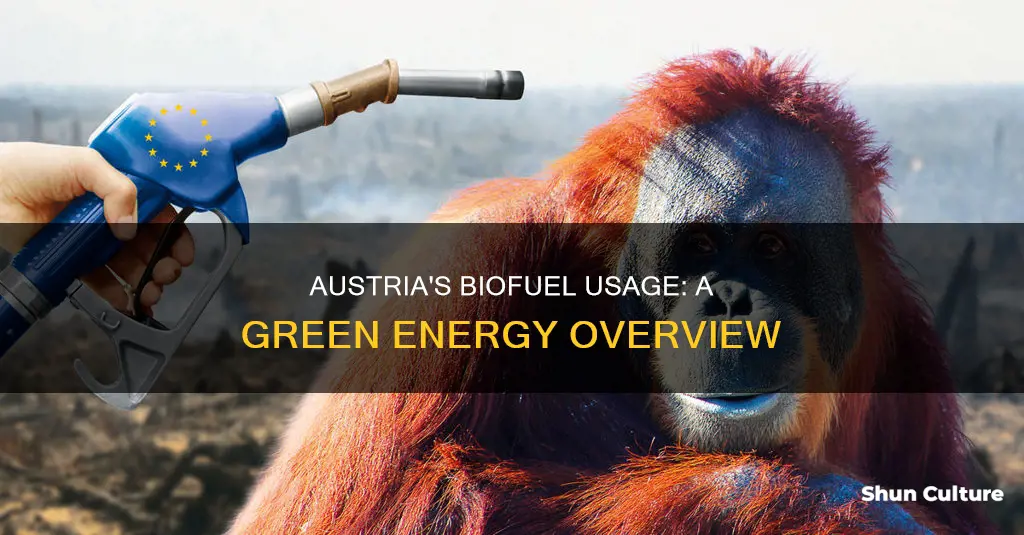 how much biofuel does austria use