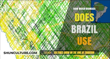 Brazil's Biomass Consumption: Unveiling the Scale and Impact of Usage