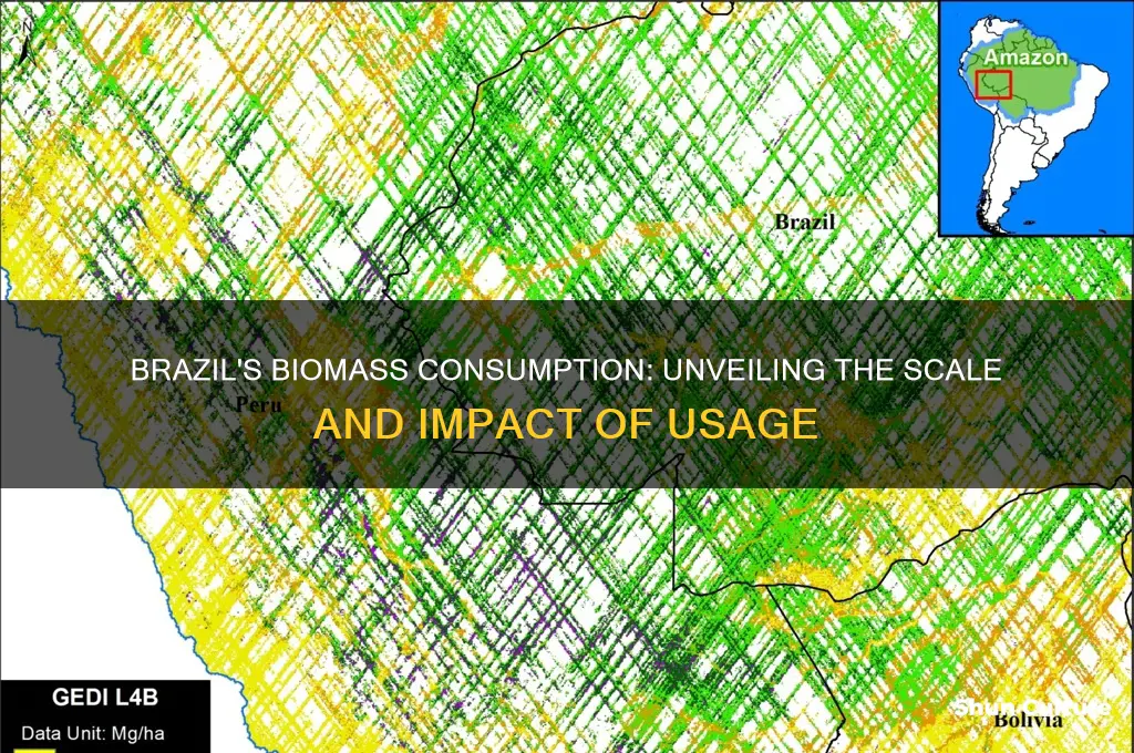 how much biomass does brazil use