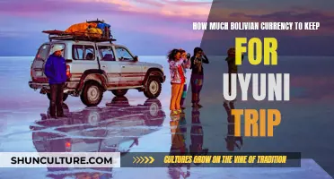 Exploring Uyuni: Ideal Bolivian Currency Amounts for Travel