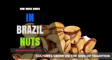 Boron Content in Brazil Nuts: Uncovering Nutritional Benefits and Facts