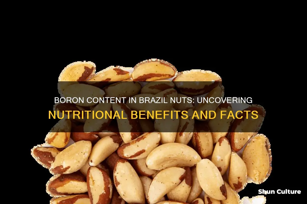how much boron in brazil nuts