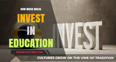 Brazil's Education Investment: Unveiling the Financial Commitment to Learning