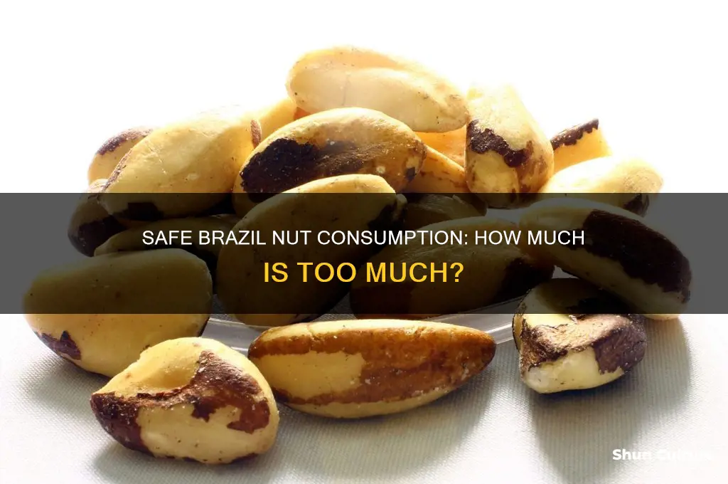 how much brazil nut can I eat