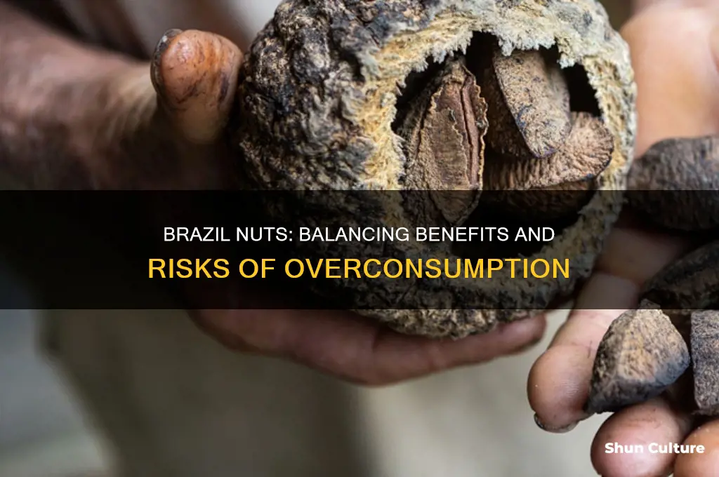 how much brazil nut is too much