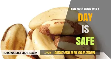 Safe Daily Brazil Nut Intake: Health Benefits and Risks Explained