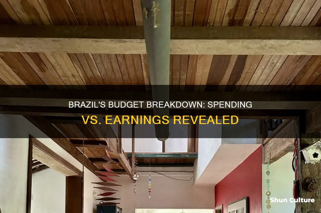 how much brazil spend and how much it makes