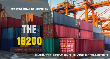 Brazil's 1920s Import Boom: Analyzing Trade Volume and Economic Impact