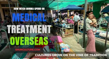 Myanmar's Overseas Medical Expenditure: A Comprehensive Analysis