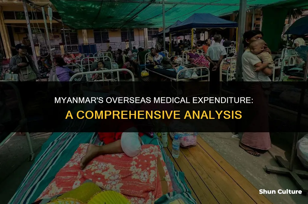 how much burma spend on medical treatment overseas