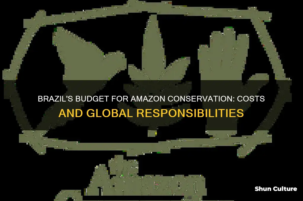 how much can brazil pay for protection of the amazon