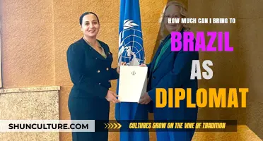 Diplomatic Travel to Brazil: Understanding Allowances and Restrictions for Diplomats