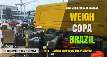 Copa Airlines Brazil Luggage Weight Limits: What You Need to Know