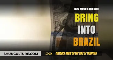 Traveling to Brazil: Cash Limits and Customs Regulations Explained