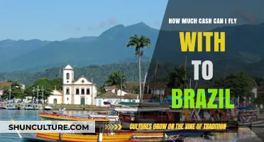 Flying to Brazil: Cash Limits and Travel Tips for Tourists