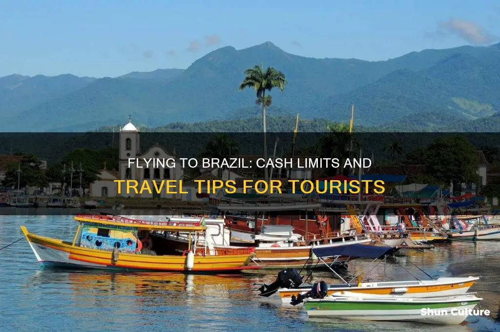 how much cash can I fly with to brazil