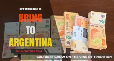 Traveling to Argentina: The Essential Guide to Carrying Cash