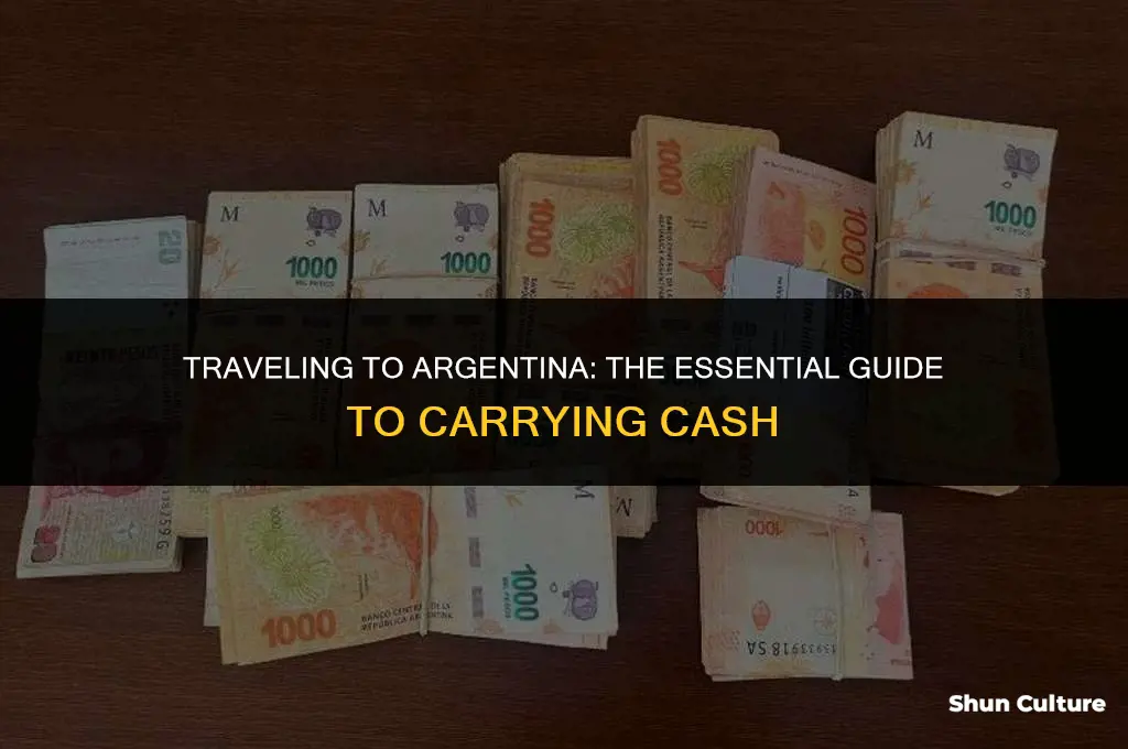 how much cash to bring to argentina