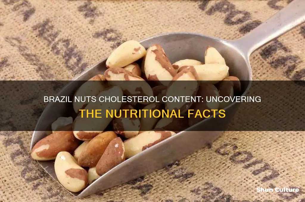 how much cholesterol in brazil nuts
