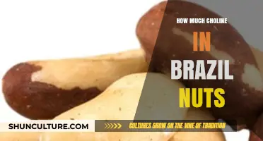 Choline Content in Brazil Nuts: Nutritional Benefits and Serving Tips