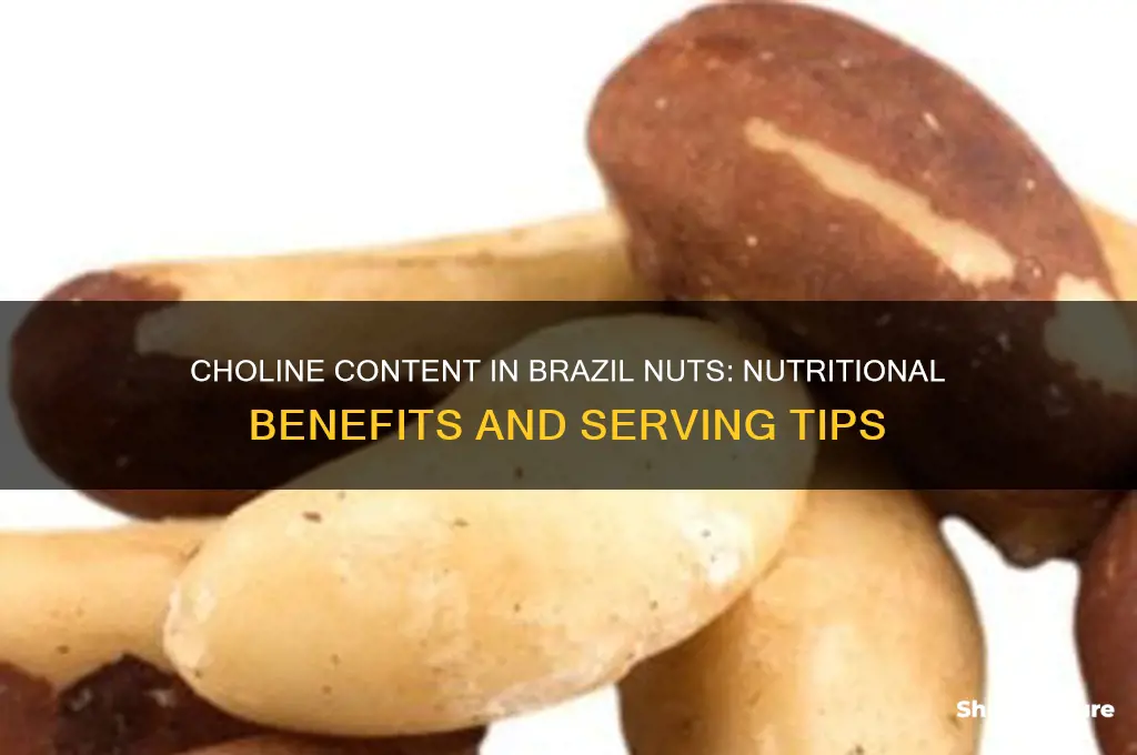 how much choline in brazil nuts