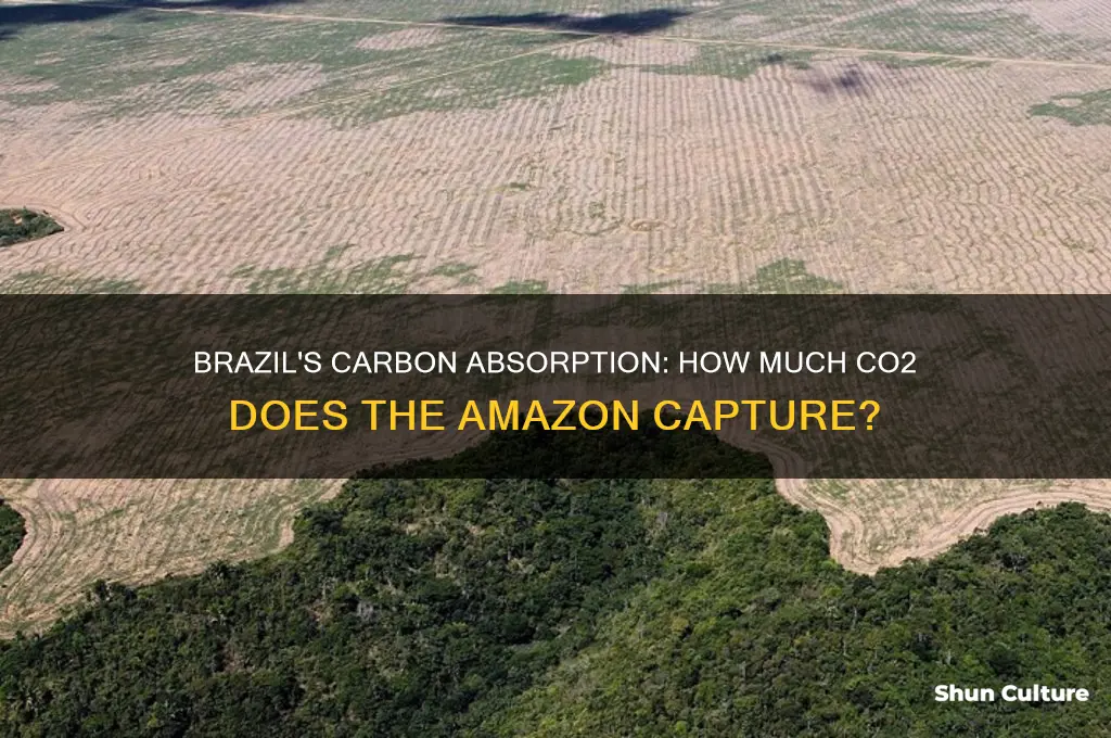 how much co2 does brazil absorb