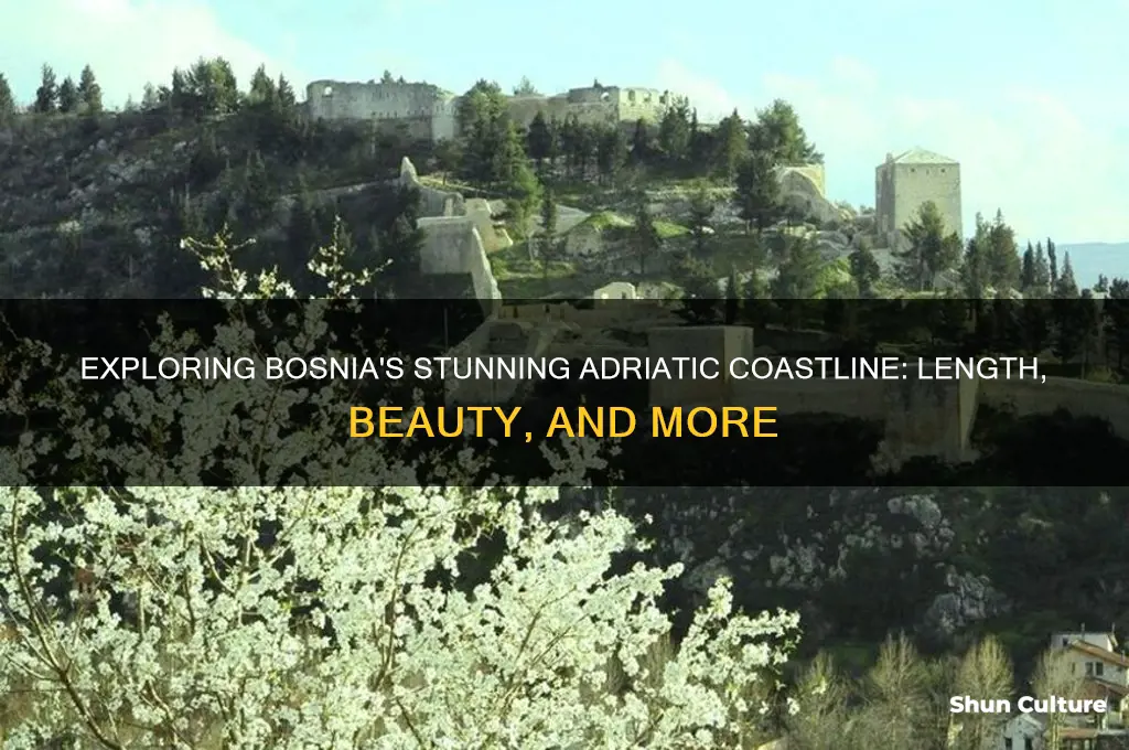 how much coast does bosnia have