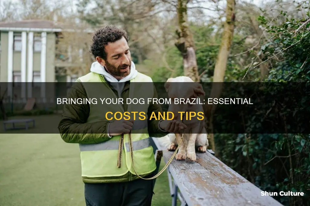 how much coast to bring my dog from brazil