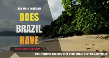 Exploring Brazil's Stunning Coastline: Length, Beauty, and Unique Features