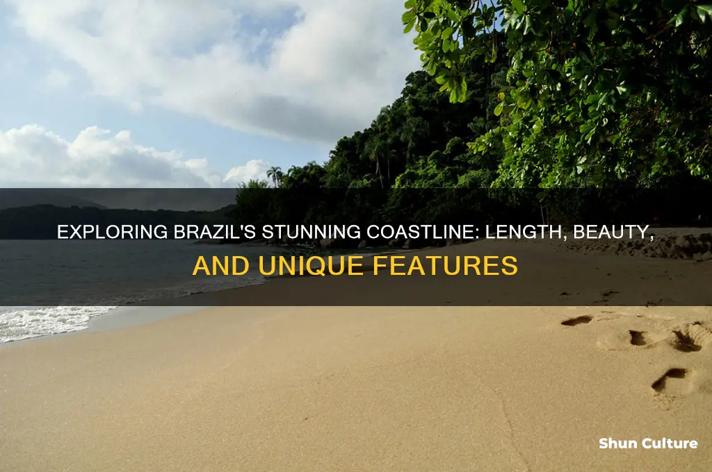 how much coastline does brazil have