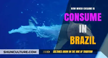 Cocaine Consumption in Brazil: Unveiling the Alarming Usage Trends