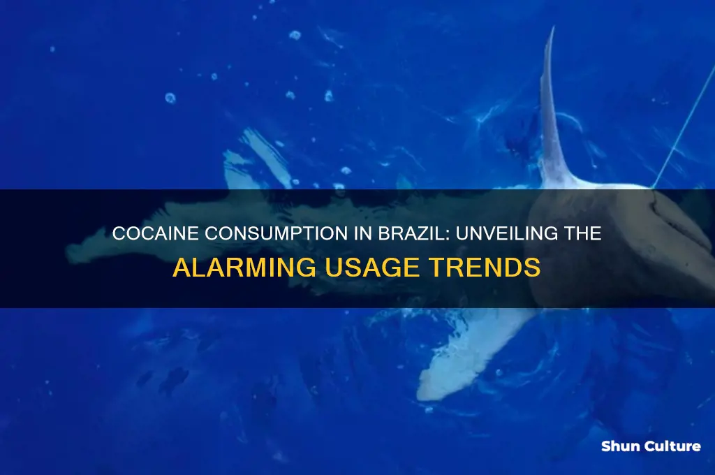 how much cocaine is consume in brazil